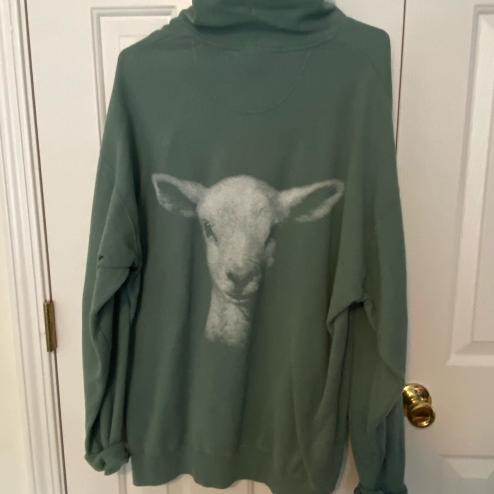 Elevation Church Green Hoodie with 'LION' Print - Picture 2 of 3